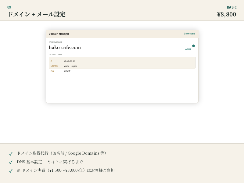 ドメイン+メール設定 Basic モック